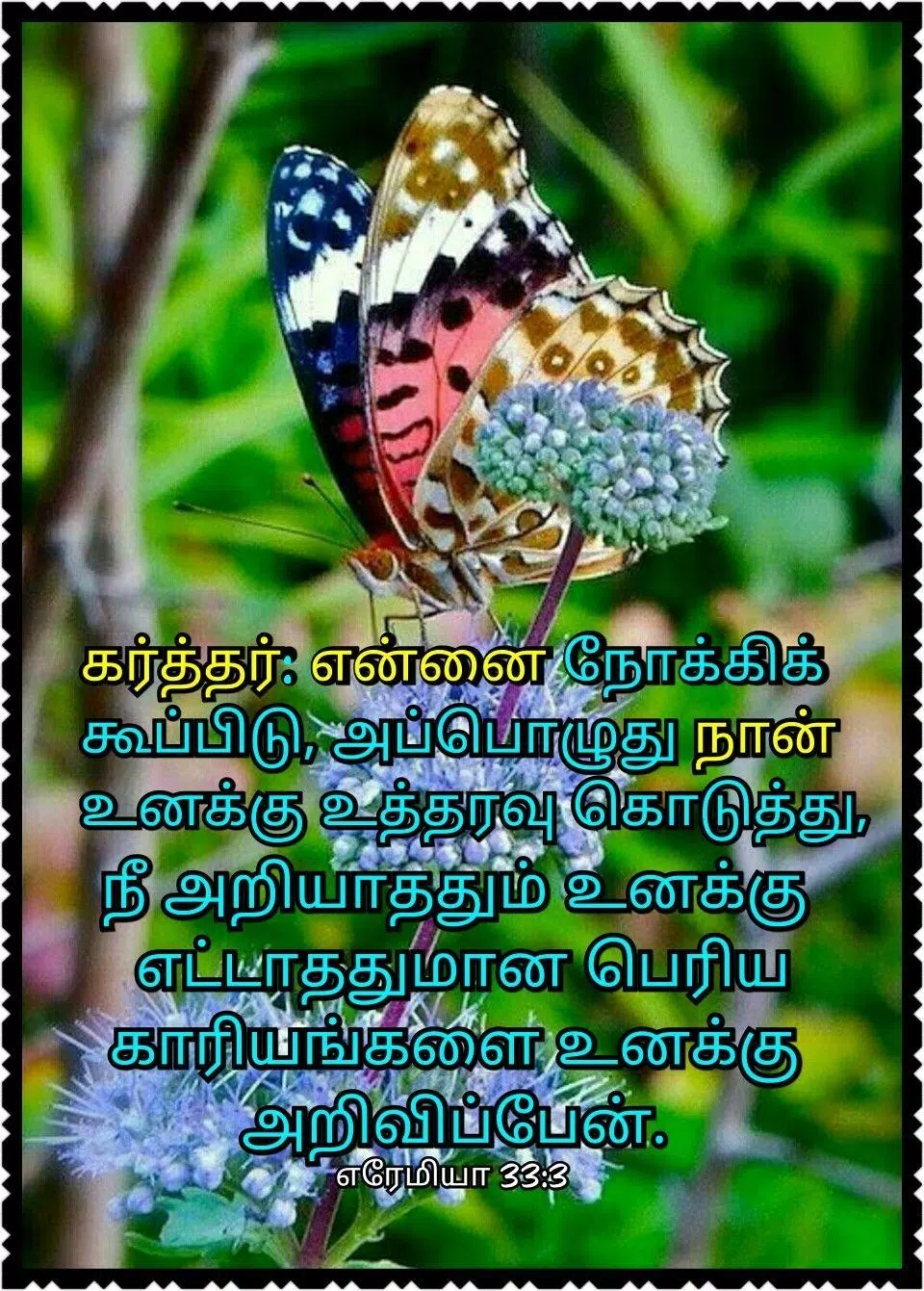 Bible Words Wallpaper Tamil HD - Bible Quote Tamil APK pour ...