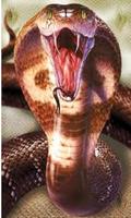 Scary Snake Prank-poster