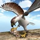 Américaine Falcon Sim 2016 APK