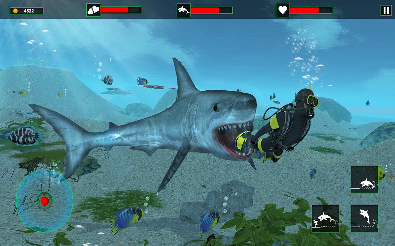 Какая акула в игре. Хангри Шарк 1. Игра акула. Shark игра на андроид. Симулятор голодной акулы.