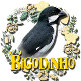 BIGODINHO CAMPEÃO icono