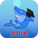 Kinneret APK