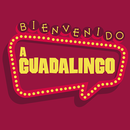 Guadalingo English APK
