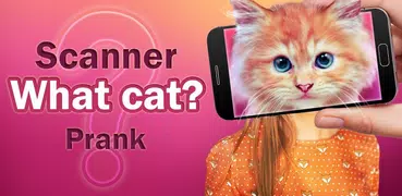 Scanner What cat Prank