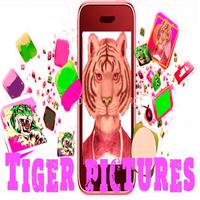 Visage de Tiger Scanner poster