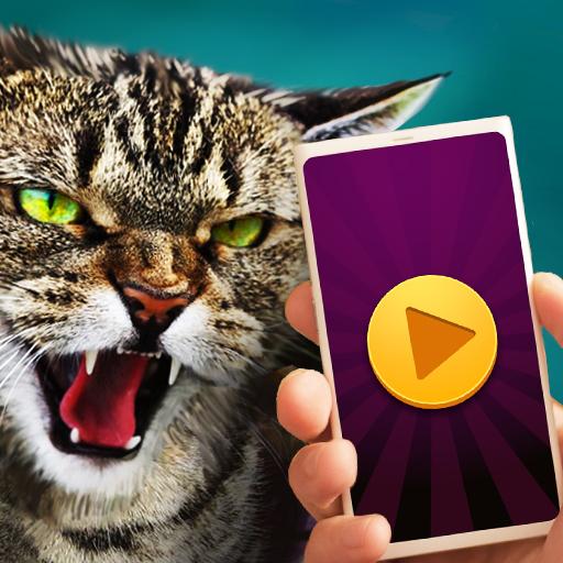 Necken cat Simulator