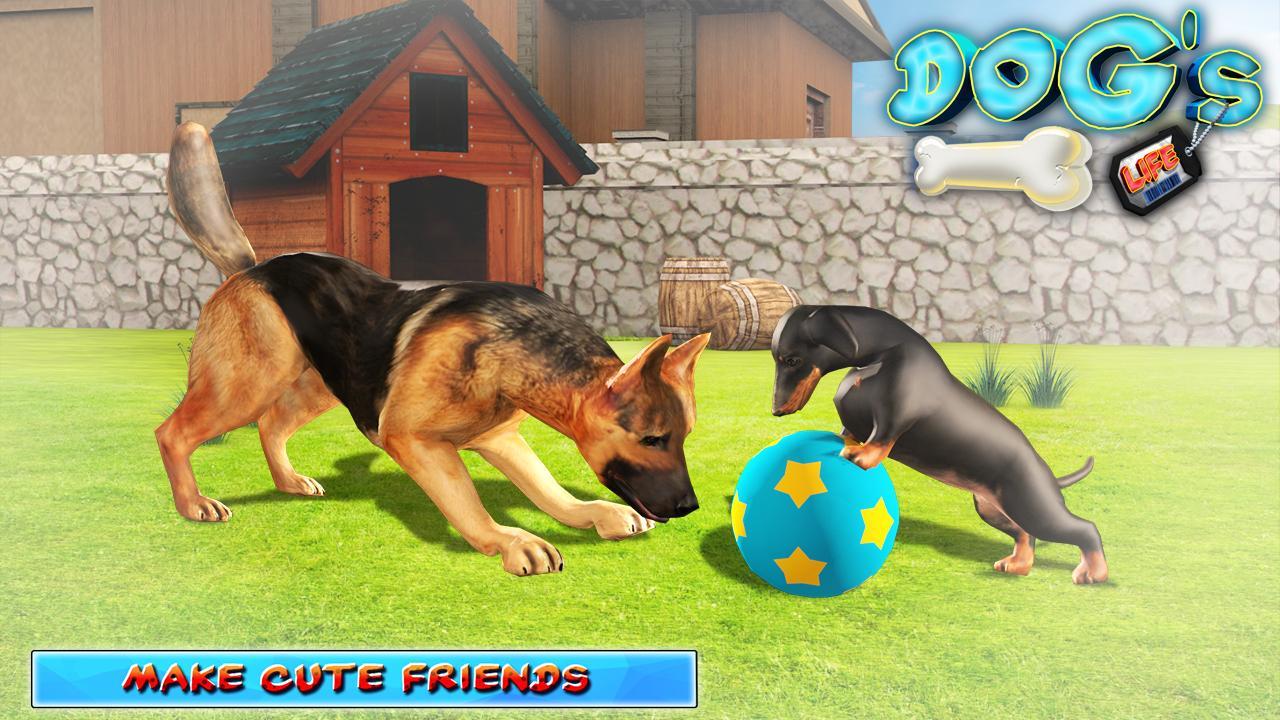 Игра про собаку. Игра про собачку. Игровая для собак. Dogs Life игра. Игра дог хаус dogedraws com