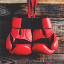 Boxing Training for exercises-APK