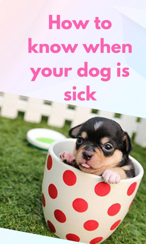 sick puppies download Sick puppies for android apk download.