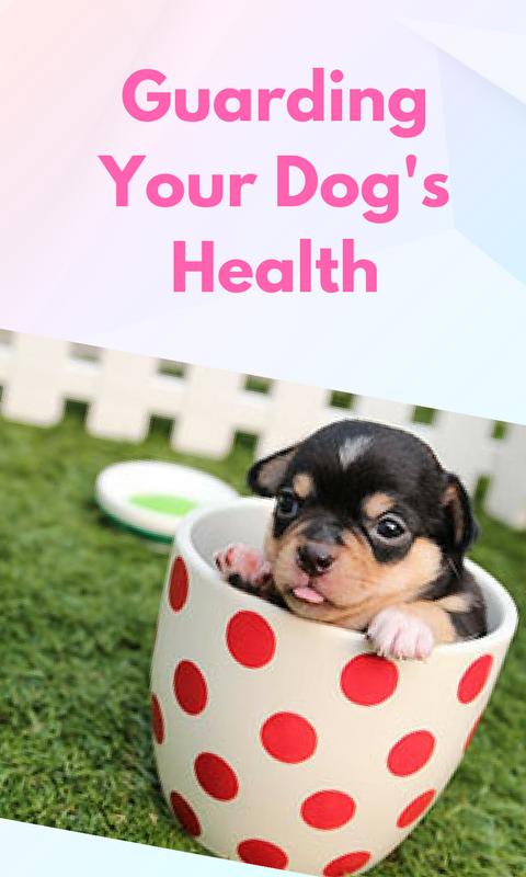 sick puppies download Help for sick dogs & sick puppies for android apk download.