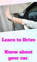 Learn Driving lessons capture d'écran 2