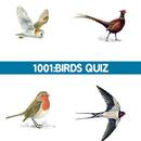 1001: Birds Quiz APK