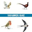 1001: Birds Quiz
