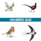 1001: Birds Quiz 图标