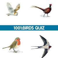 1001: Birds Quiz โปสเตอร์