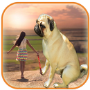 Real  Big Camera – Big Effect  APK