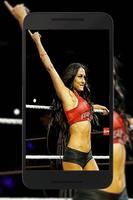 Nikki WWE Bella Wallpaper FULL HD скриншот 1