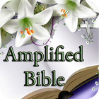 Amplified Bible Free Download icône