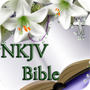 NKJV Bible Free Version 1.2 APK