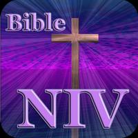 NIV Bible Free Version 1.0 スクリーンショット 3