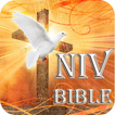 ”NIV Bible-Study