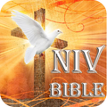 NIV Bible-Study