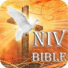 NIV Bible-Study ikona
