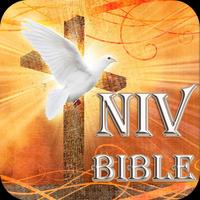برنامه‌نما NIV Bible-Study عکس از صفحه