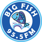 BIG FISH 95.5 FM icône