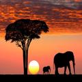 Big Apple to Big Five