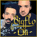 Musique Bigflo Et Oli Paroles APK
