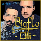 Musique Bigflo Et Oli Paroles иконка