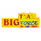 Team-BigForce icon