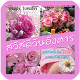 สวัสดีวันอังคาร icon