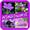 สวัสดีวันเสาร์ รูปภาพสวัสดี