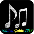 New TikTokk Guide 2018 icône