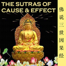 Cause&Effect Sutra 三世因果经-APK