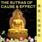 Cause&Effect Sutra 三世因果经 图标