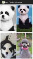 Cute Puppies Wallpapers ภาพหน้าจอ 2