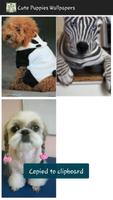 Cute Puppies Wallpapers syot layar 3
