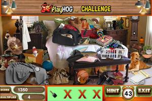Challenge #223 Bright Home New Hidden Object Games ảnh chụp màn hình 1