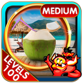 Challenge #145 Seaside New Free Hidden Object Game