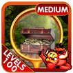 Challenge #208 Secret Treasure Free Hidden Objects
