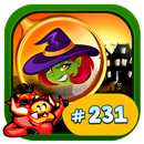 # 231 Hidden Object Game New Free Puzzle The Witch APK
