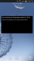 Fact of the Day - Free Facts-poster