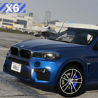 X6 Driving BMW Simulator icône