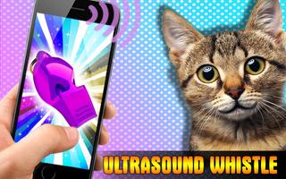 Ultrasound. Cat whistle simulator penulis hantaran