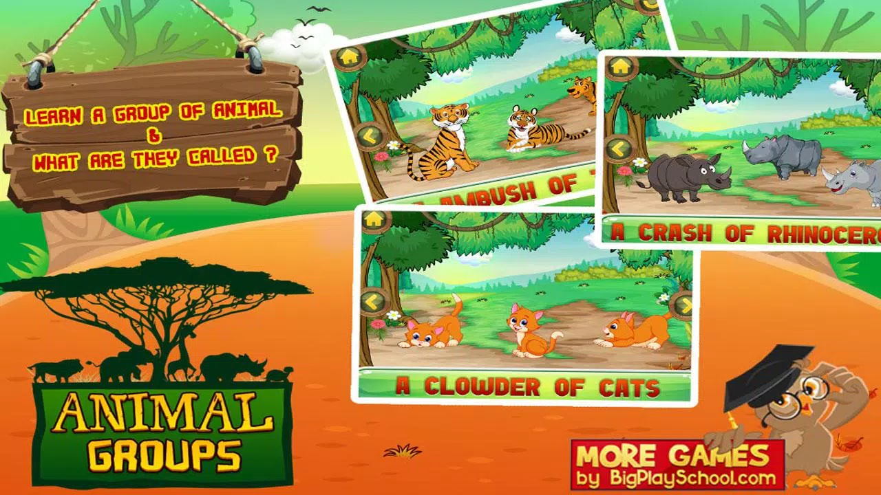 Animal Groups - Learn Animals APK for Android Download