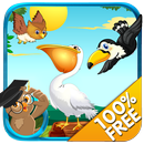 Which Bird - Kids e-learning APK