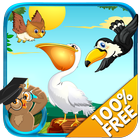 Which Bird - Kids e-learning أيقونة